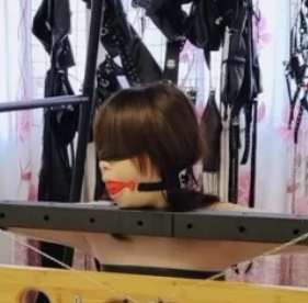 转载搬运百度盘绳艺SM浅浅作品塞进木枷孔被鳄鱼夹拉扯铁链锁住1V1G，束缚资源