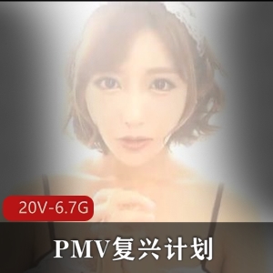 PMV合集复兴计划精彩剪辑20V6.7G，绝版女Y作品大集合
