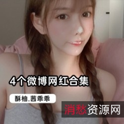 二次元微博网红合集4个可爱妹子最新作品88V80G，专攻二次元领域