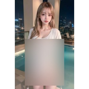 百度盘ai大合集(b)1.6G双重压缩