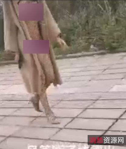 推特风筝断了线街拍秀88部33.8G私房珍藏