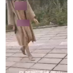 推特风筝断了线街拍秀88部33.8G私房珍藏