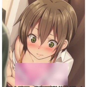 劲爆伪娘动画推特合集4部1.37G