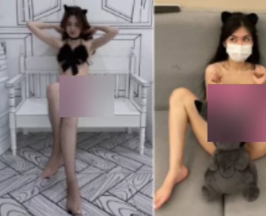 BMWZ超感觉指教合集76部3G网络版