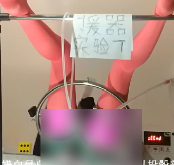 云盘援器学会实战5部典藏版流汗黄豆